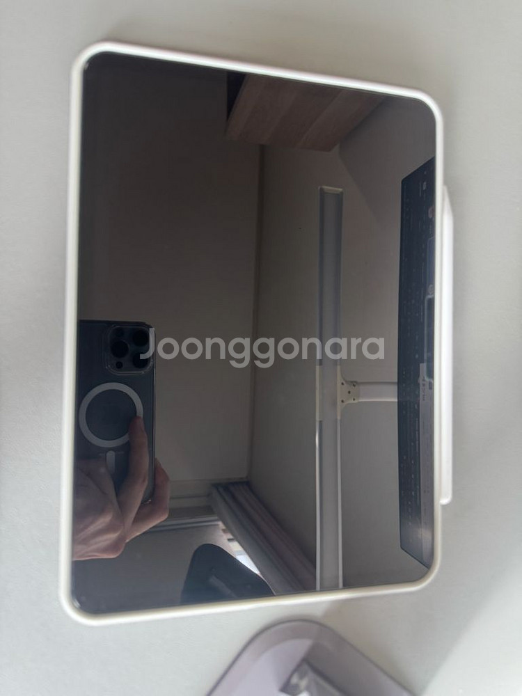 아이패드프로 m4 11 256 실버+ 팬슬프로--2