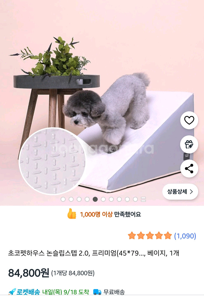 초코펫하우스 야광 논슬립계단 슬라이스 2.0 대형--0