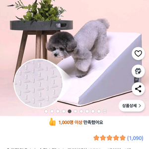 초코펫하우스 야광 논슬립계단 슬라이스 2.0 대형