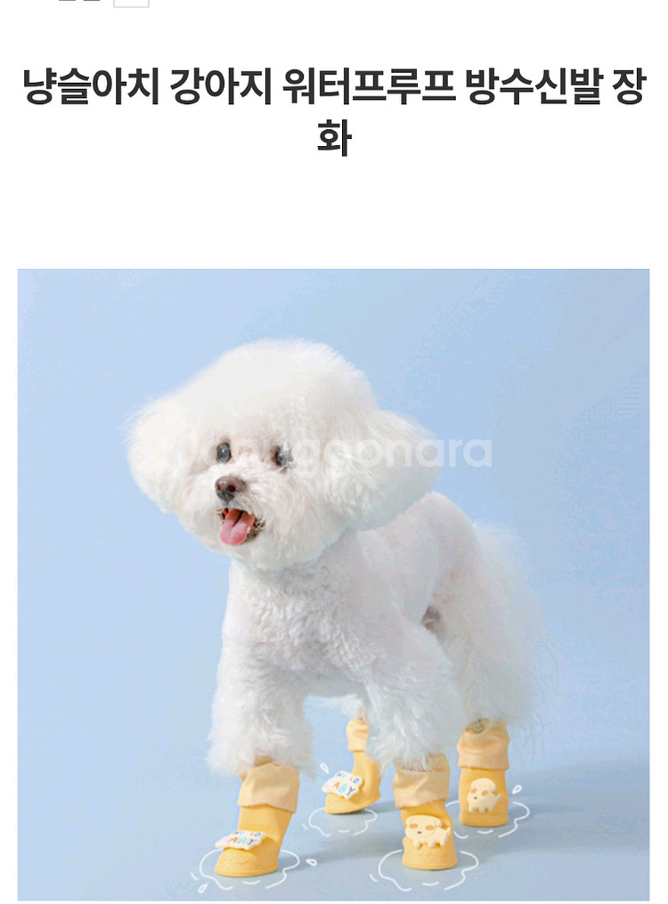 강아지 방수 신발--1