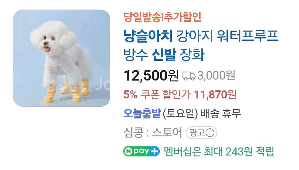 강아지 방수 신발--0