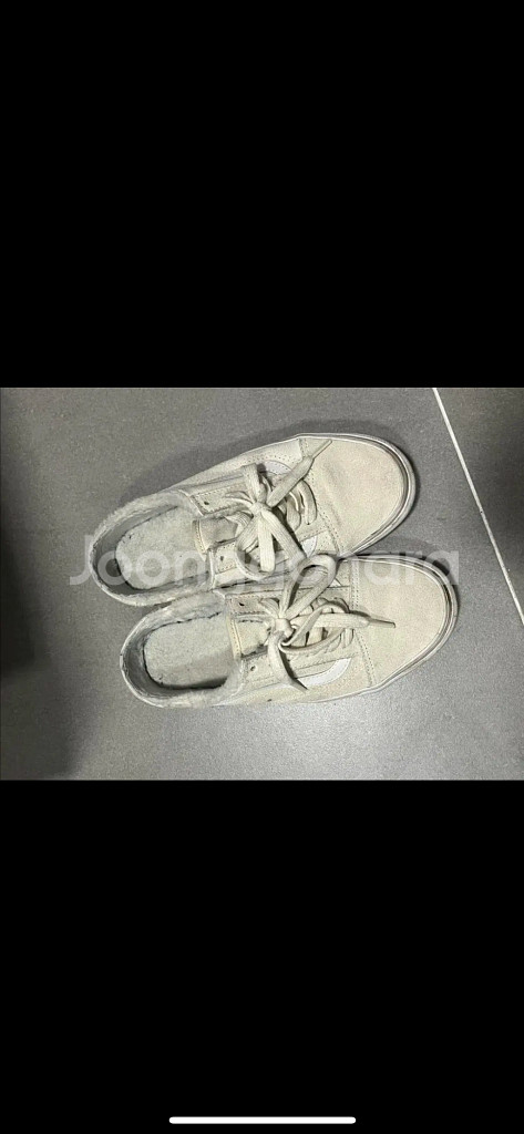 반스 셰르파 뮬 크림--1