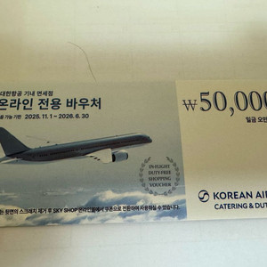 대한항공 기내면세점 온라인 전용 바우처