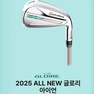 테일러메이드 25년 글로리아이언