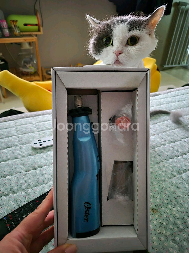 강아지 무선발톱다듬기--3
