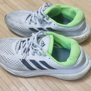 아디다스 신발 255