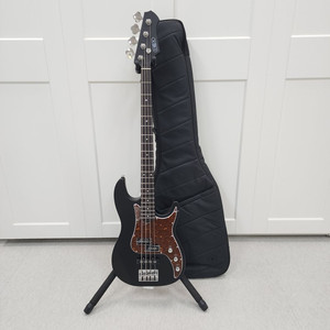 헥스 프레시젼 베이스기타 RB100 블랙