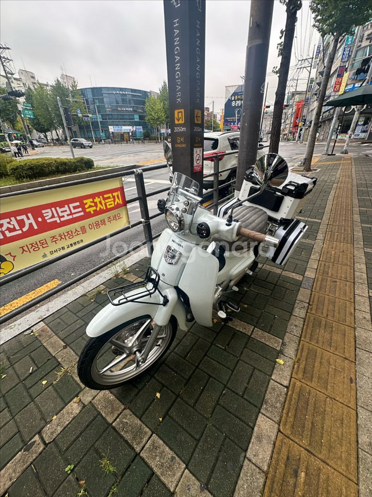 23년식 슈퍼커브 화이트--1