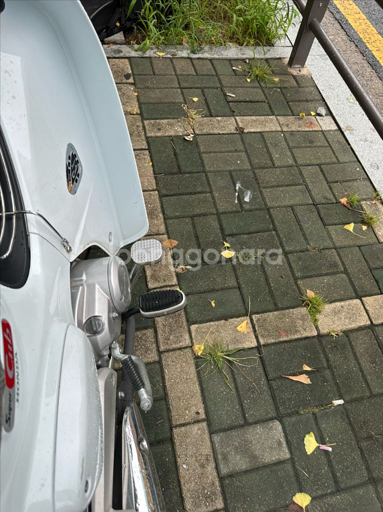 23년식 슈퍼커브 화이트--6