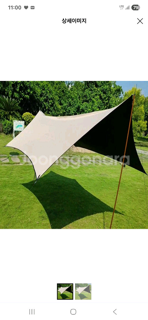 아릭시 타프--0