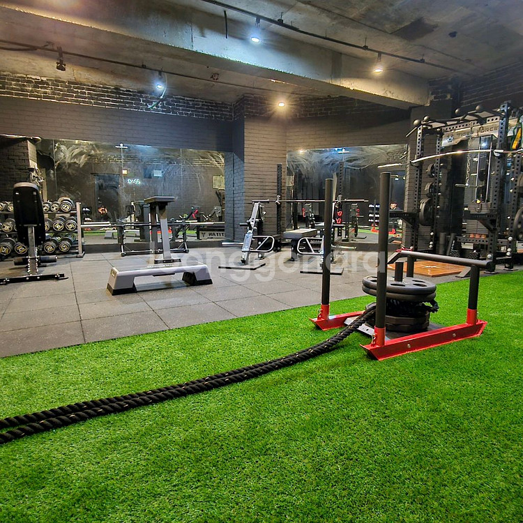 하프랙,벤치랙,덤벨세트,렛풀머신,원판세트--5