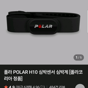 폴라 h10 심박계