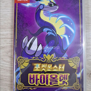 포켓몬스터 바이올렛