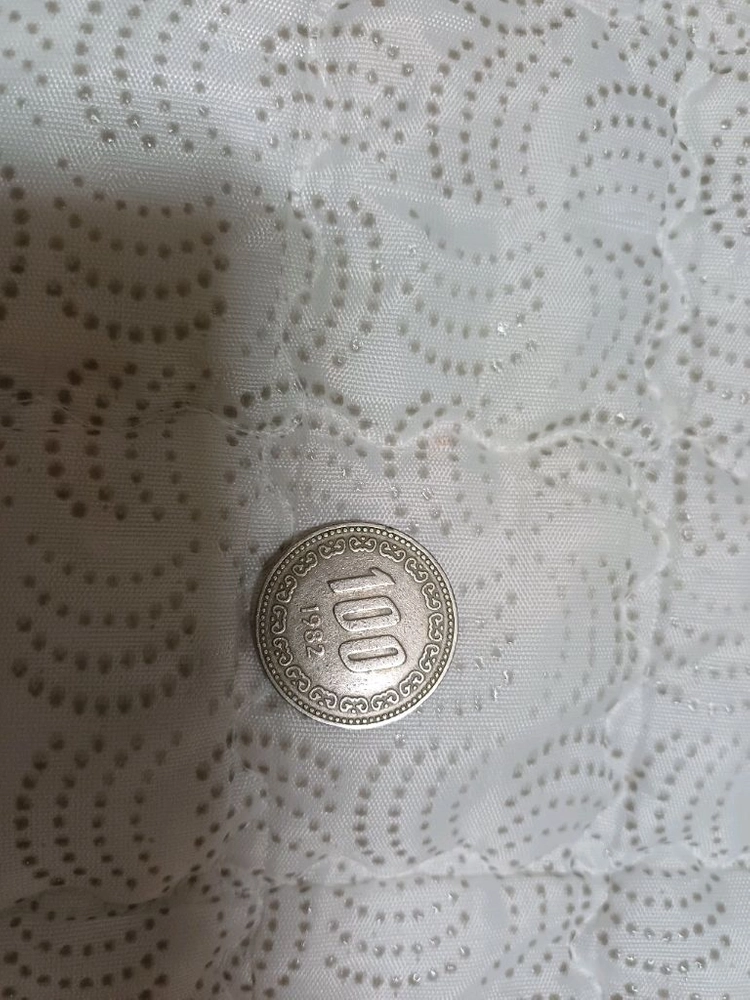 1982년도 희귀동전 100원 이미지