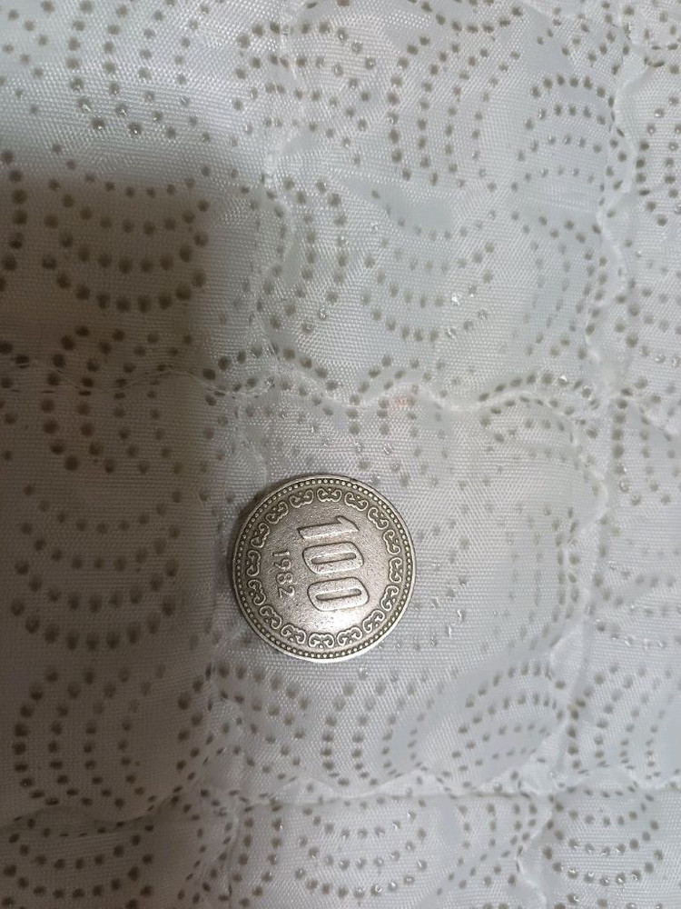 1982년도 희귀동전 100원--1