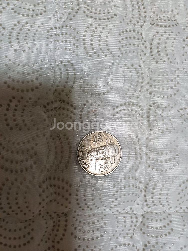 1982년도 희귀동전 100원--0