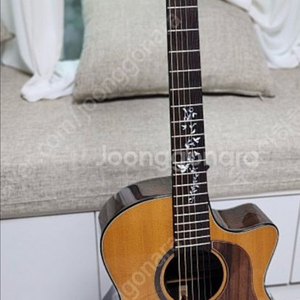 고퍼우드 k330 기타