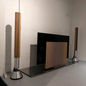 뱅앤올룹슨 베오랩 28 beolab28 라이트오크 실버