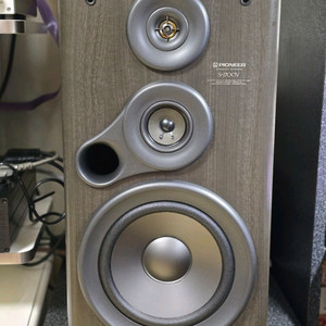파이오니아(PIONEER) 북쉘프 스피커