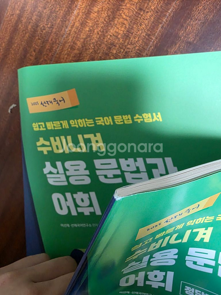 선재국어 수비니겨 실용문법과 어휘 2025--1