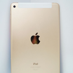 아이패드 미니4 셀룰러 골드 아이클라우드 락