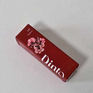 딘토 블러링 립 베일 101호 루바토