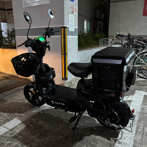 전기자전거 급처