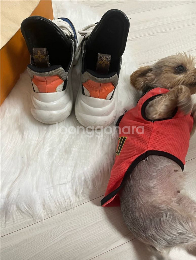 [38] 루이비통 아치라이트 스니커즈 신발--3