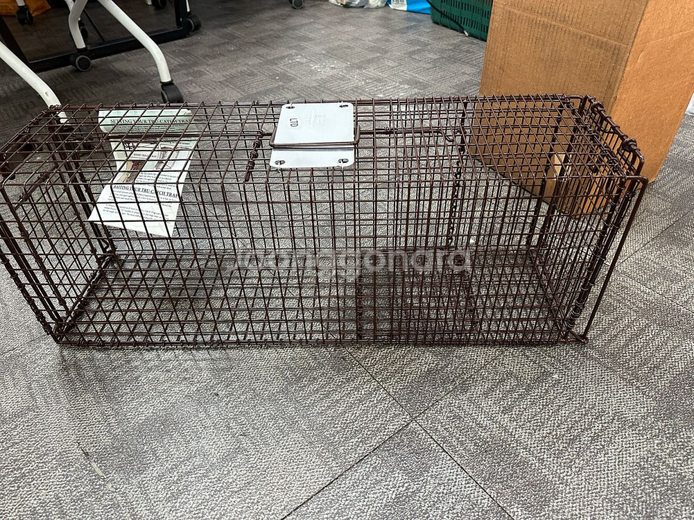 Tru Catch 트루캐치 고양이 (동물)포획틀 새거--4