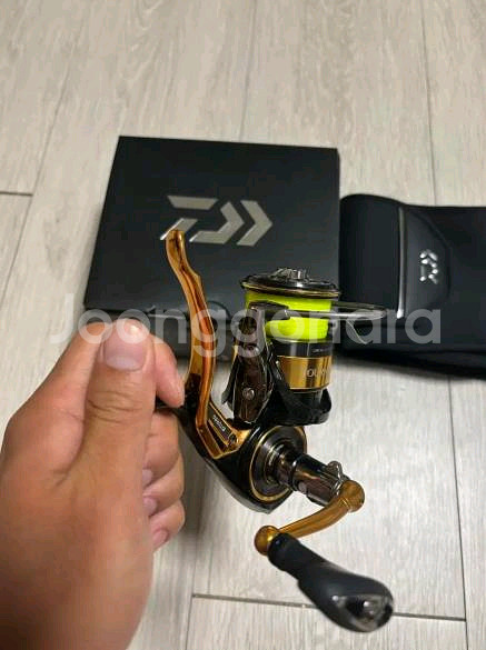 22토너먼트 이소 3000xh-lbd 낚시릴--3