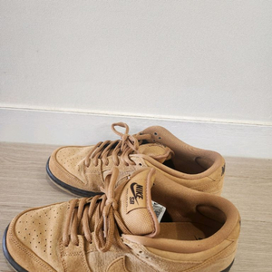 나이키 SB 덩크 로우 프로위트 된장덩크 270
