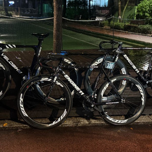 엔진11 팀에디션