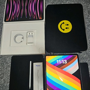 아이패드 프로 6세대 12.9 256 + 짭플 펜슬