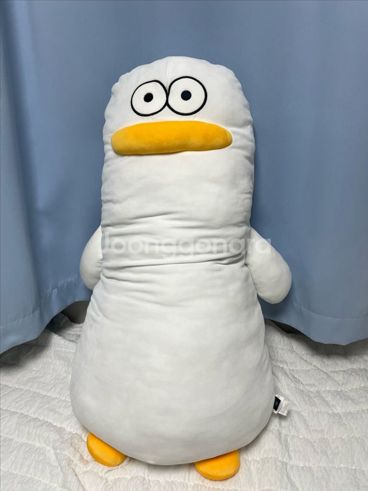 오둥이 바디필로우--0