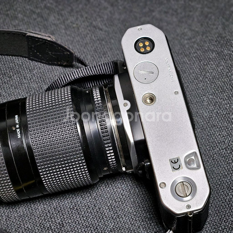 니콘 FM2 필름 카메라--4