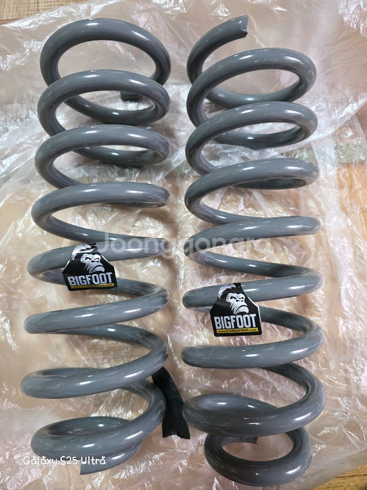 팰리세이드 빅풋스프링--0