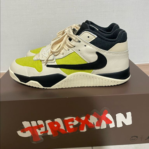 나이키 스캇 캑터스잭 270