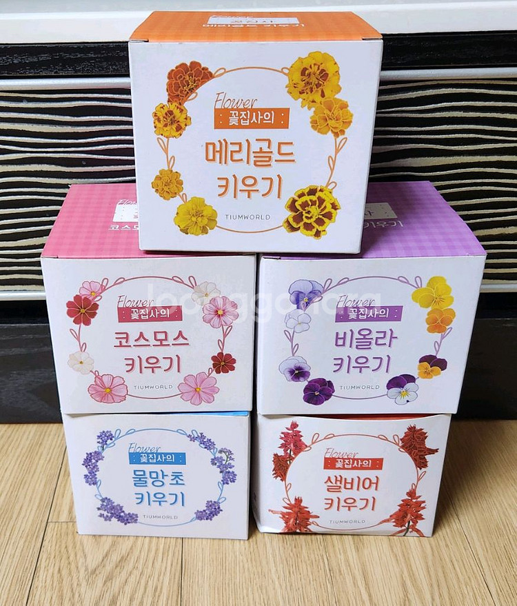 홈가드닝, 식물키우기 키트 꽃집사 5종 일괄--0