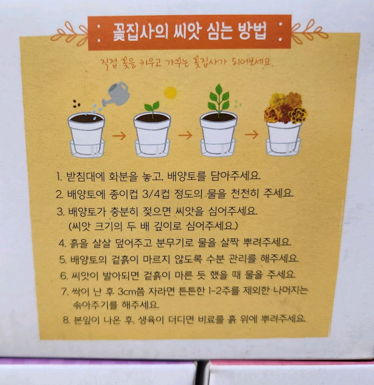 홈가드닝, 식물키우기 키트 꽃집사 5종 일괄 이미지