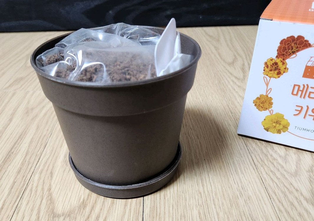 홈가드닝, 식물키우기 키트 꽃집사 5종 일괄 이미지