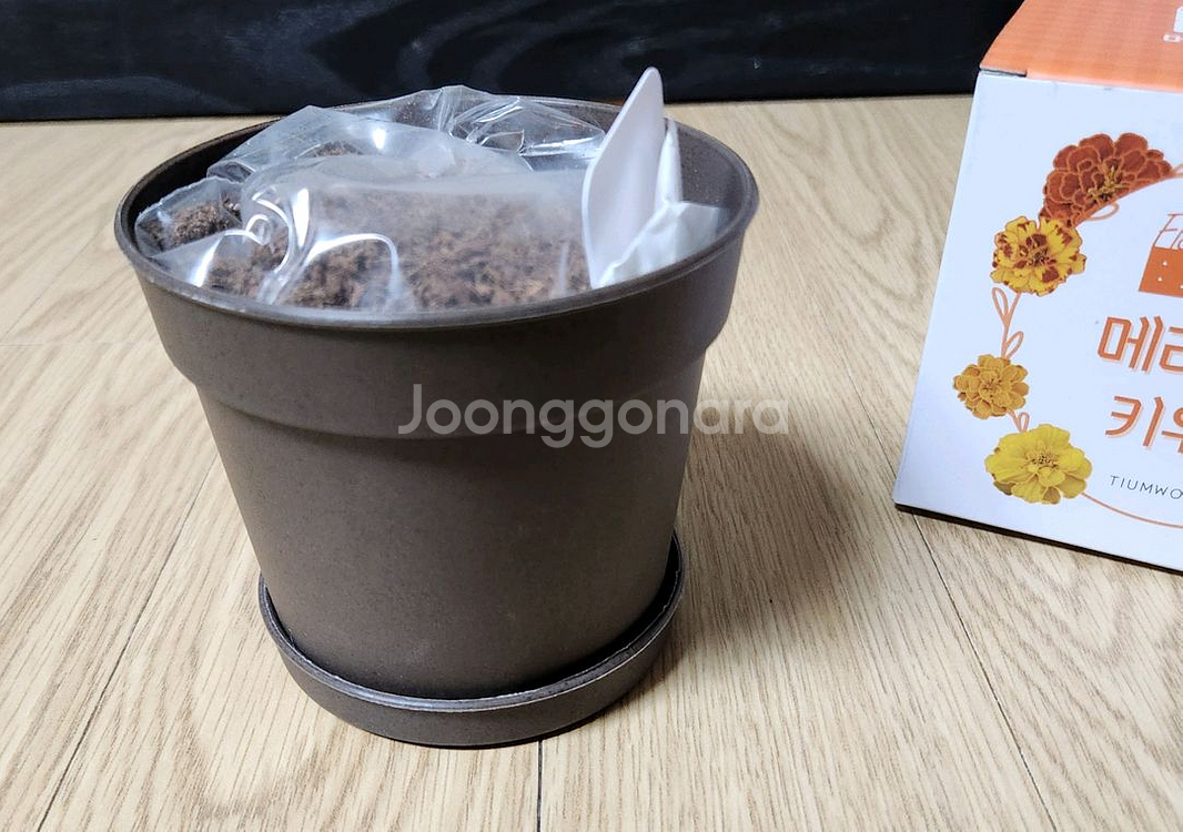 홈가드닝, 식물키우기 키트 꽃집사 5종 일괄--2