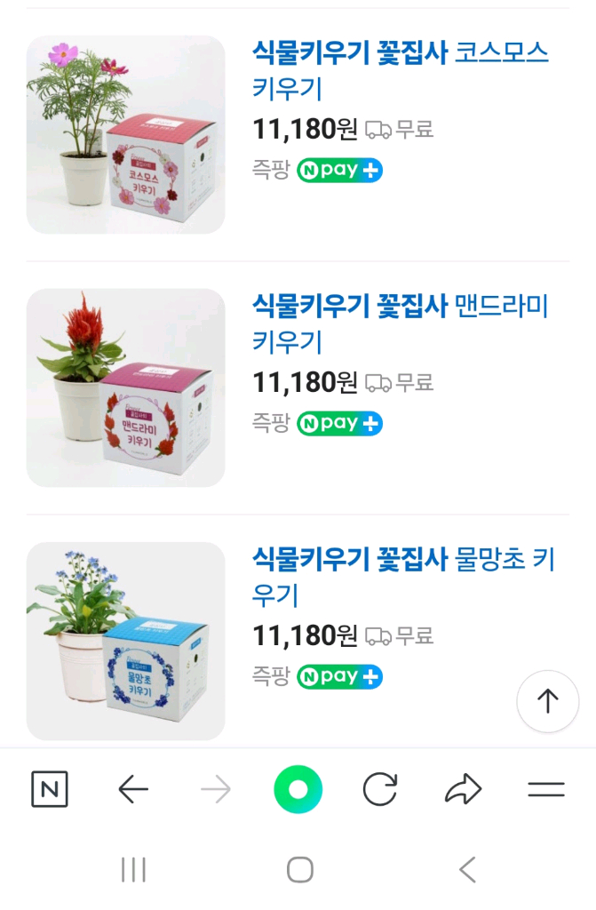 홈가드닝, 식물키우기 키트 꽃집사 5종 일괄 이미지