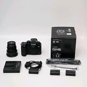 파나소닉 루믹스 GH6