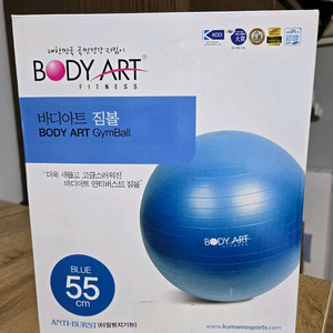 (추석특가) 바디아트 짐볼