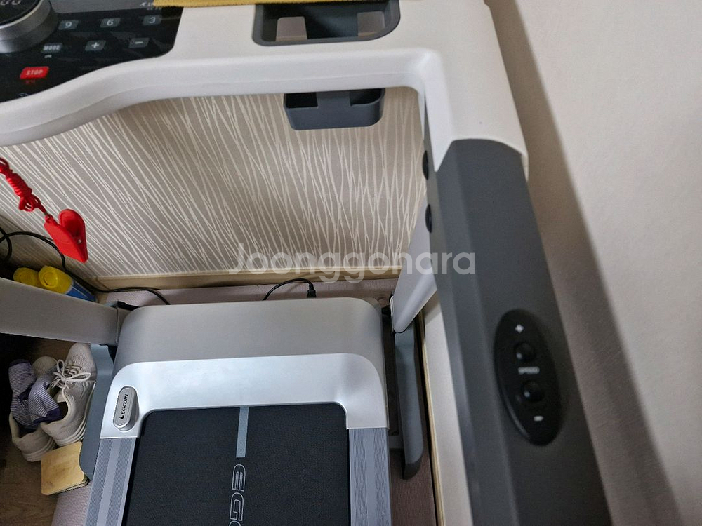 이고진 Maestro X4--2