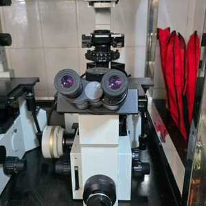 올림푸스 도립형광현미경 IX70 이미지