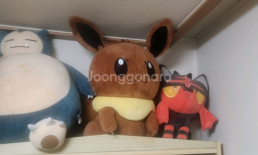 포켓몬스터인형 이외의 인형들 팝니다--2