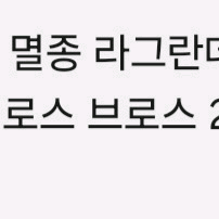 브레인롯트훔치기