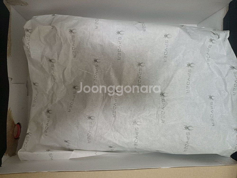 스파이더 레슬링화--2