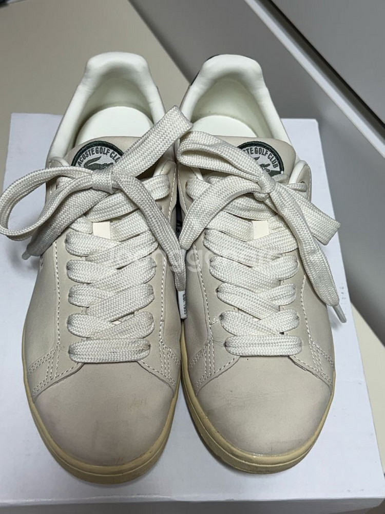 라코스테 신발 250 UK6--1